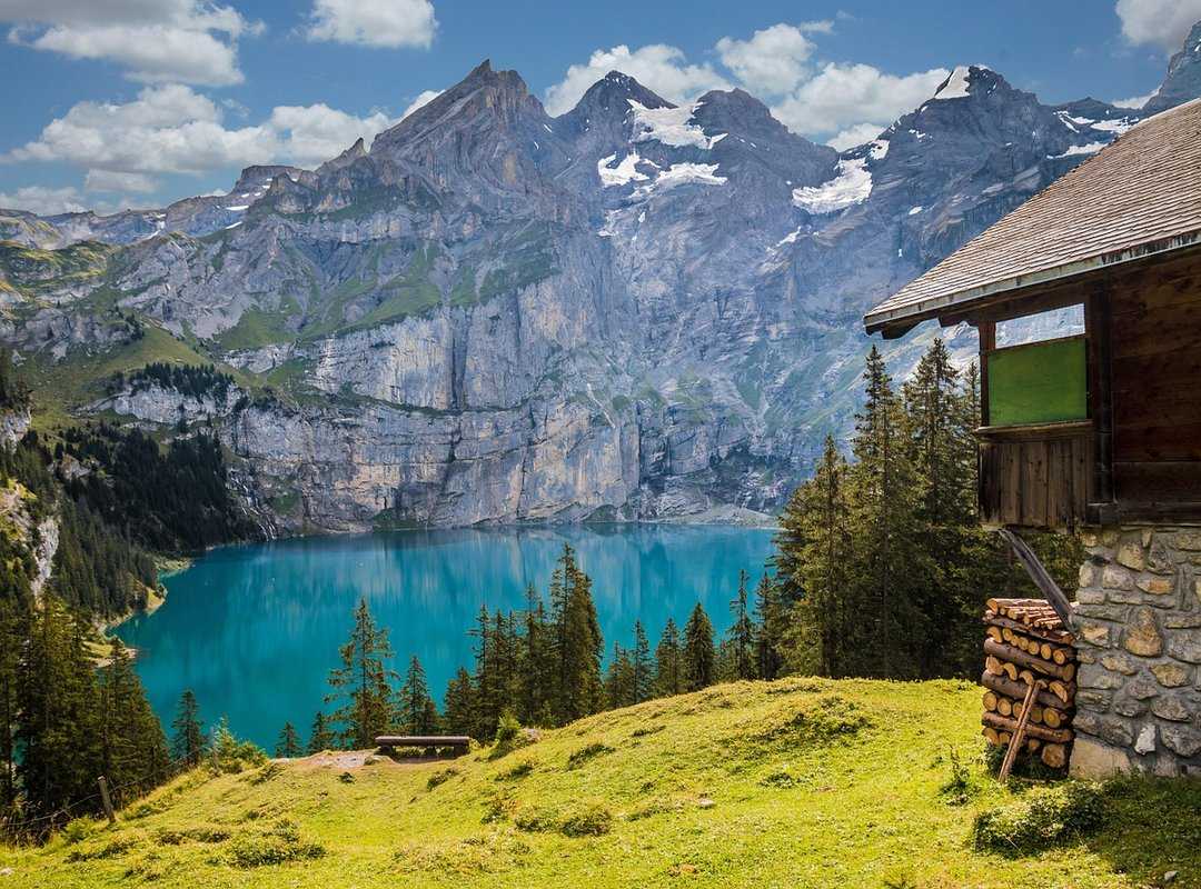 build shelter wild