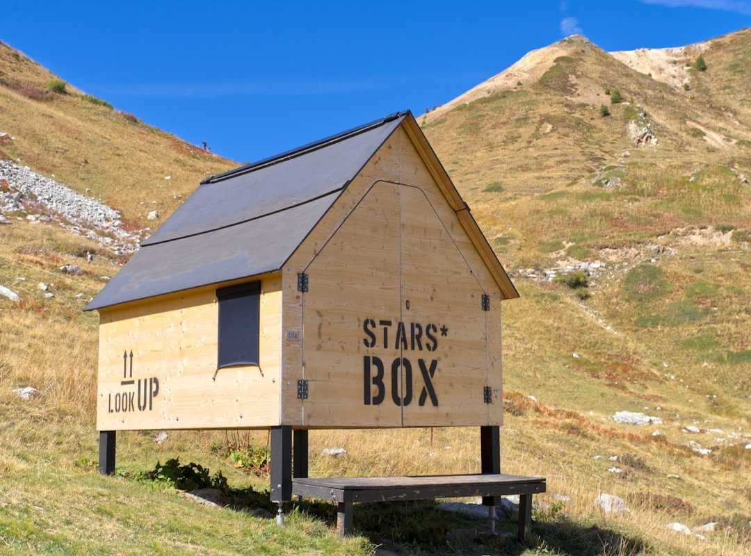 build shelter wild