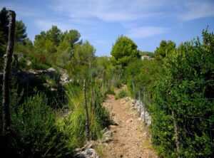 lesser-known hiking routes