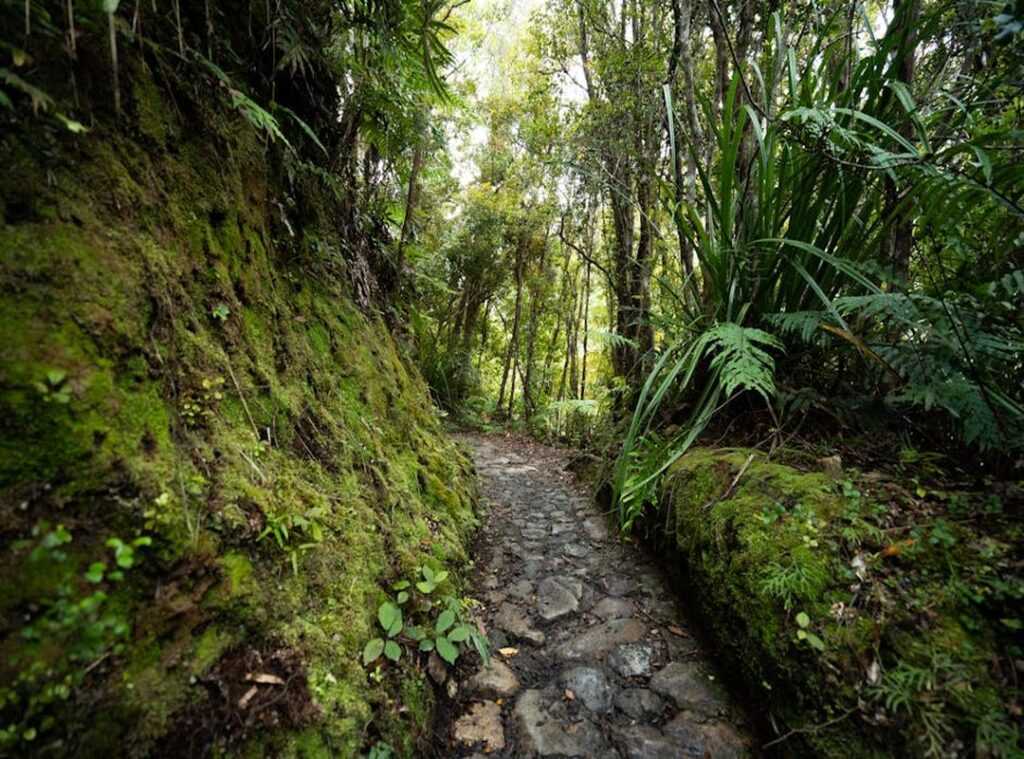 new hiking trails