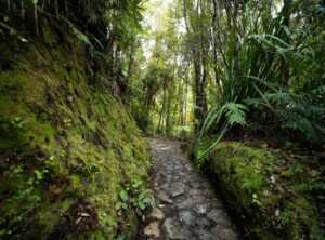 new hiking trails
