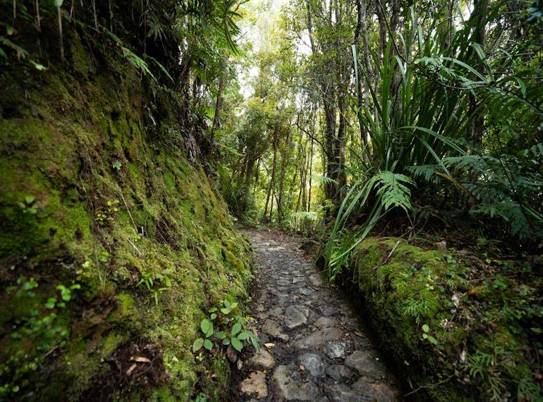 new hiking trails
