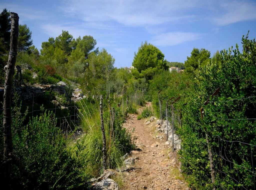 uncharted territory hiking