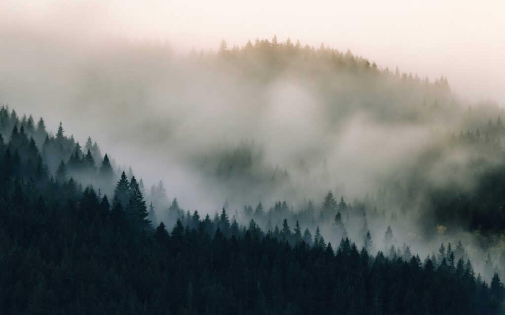 dave hoefler rcE3 D u2NE unsplash