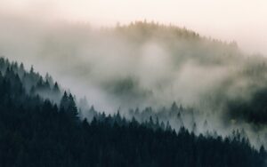 dave hoefler rcE3 D u2NE unsplash