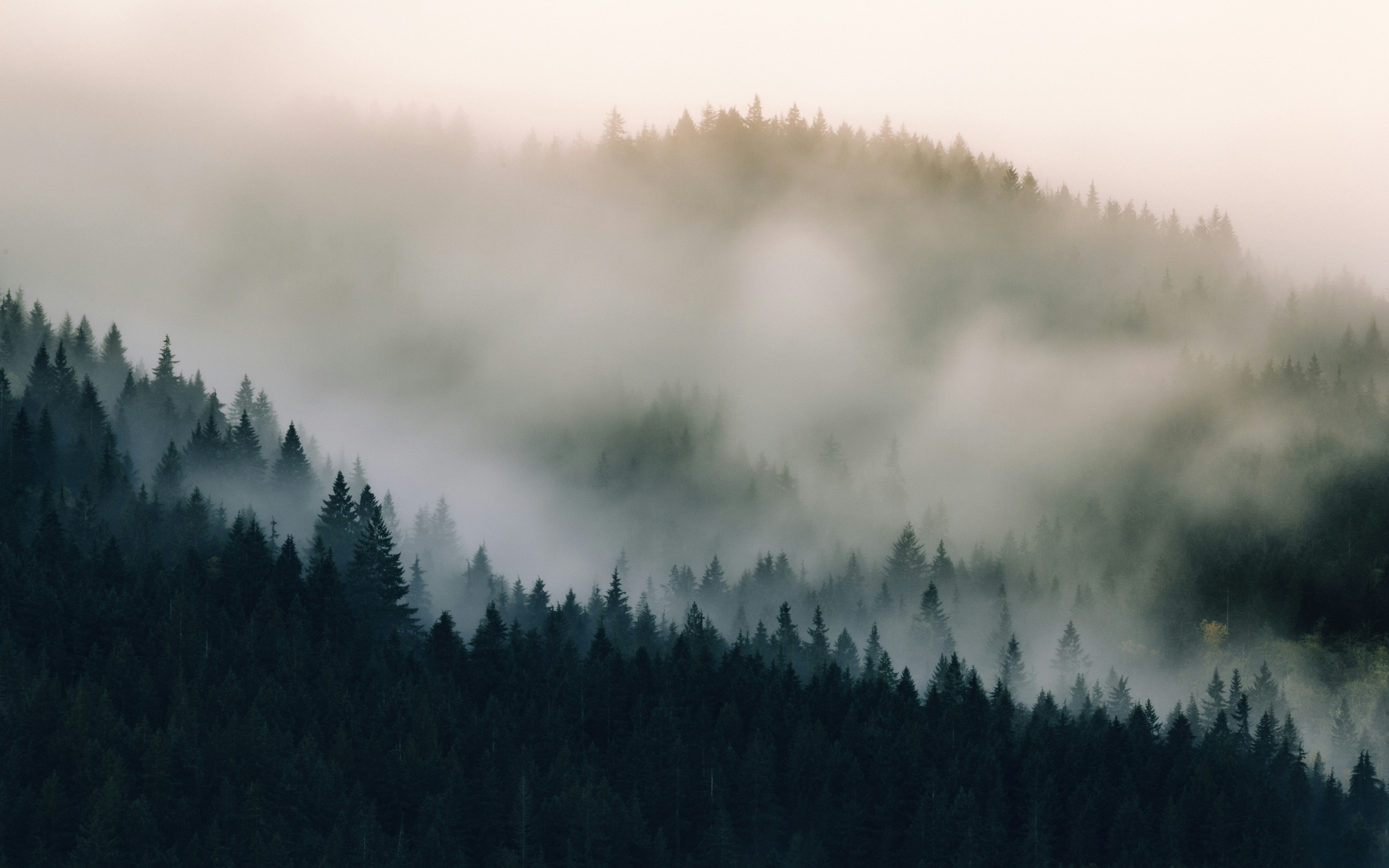 dave hoefler rcE3 D u2NE unsplash