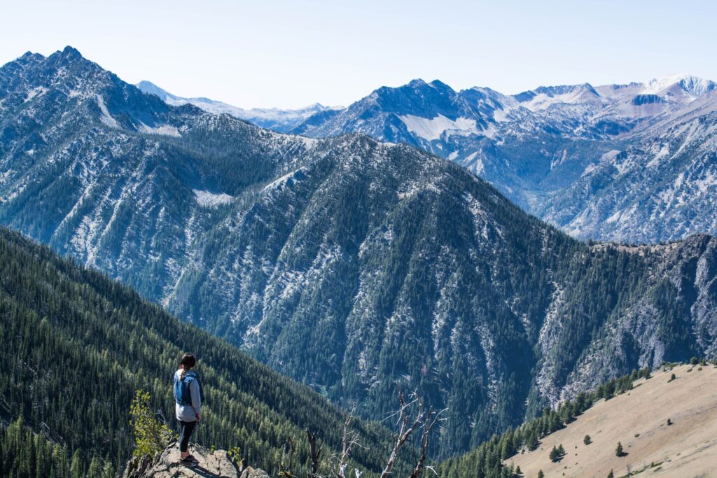 pexels photocollections 213958